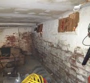 Mold in basement