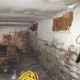 Mold in basement