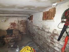 Mold in basement